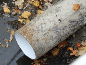 Spray-In-Place-Pipe (SIPP) Rehabilitation featuring an exposed pipe surrounded by autumn leaves